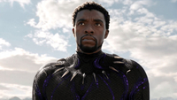 T'Challa (Chadwick Boseman, Black Panther)