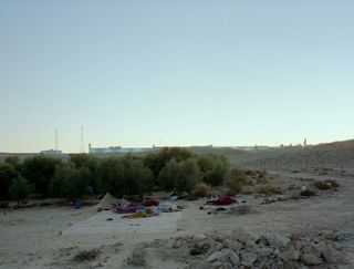 Daybreak (on an olive farm/Negev Desert/Israel), 2011, by Jeff Wall