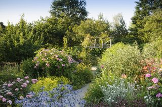 Rose garden ideas - rose garden at RHS Rosemoor