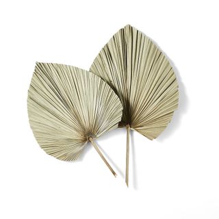 Abigail Ahern Dried natural fan palms