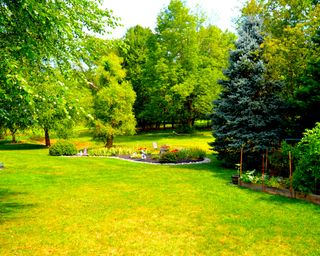 backyard with lawn and lots of mature trees