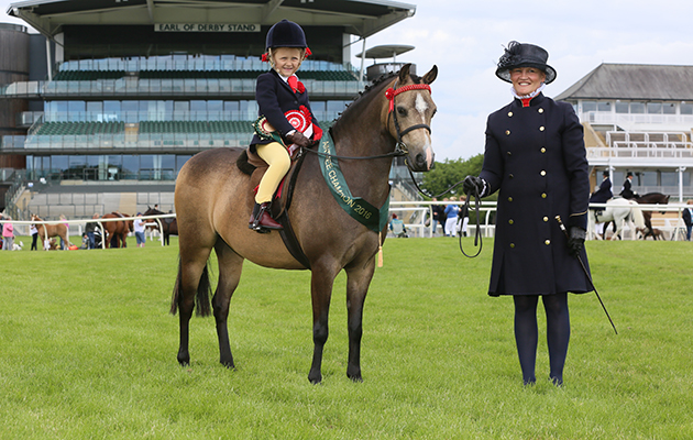 OPEN MINI SHOW PONY CHAMPIONSHIP CHAMPION 856 Laurens fairy dust R&amp;nbsp;Lola Mitty H: Kate-anne Douglas