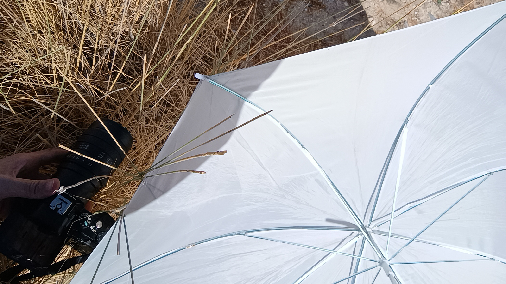 White umbrella, to the left a camera laying in dry grass