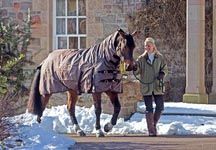 Kingshead-rug.jpg