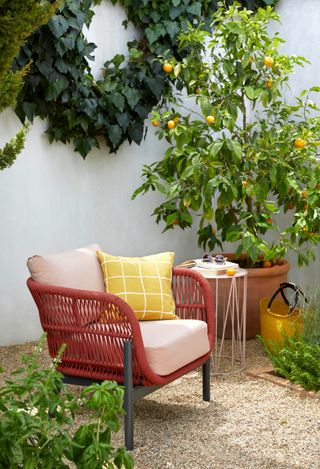 mediterranean gardens: red chair with potted citrus tree on patio