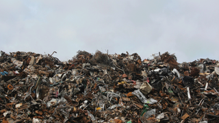 Landfill materials that have not been recycled