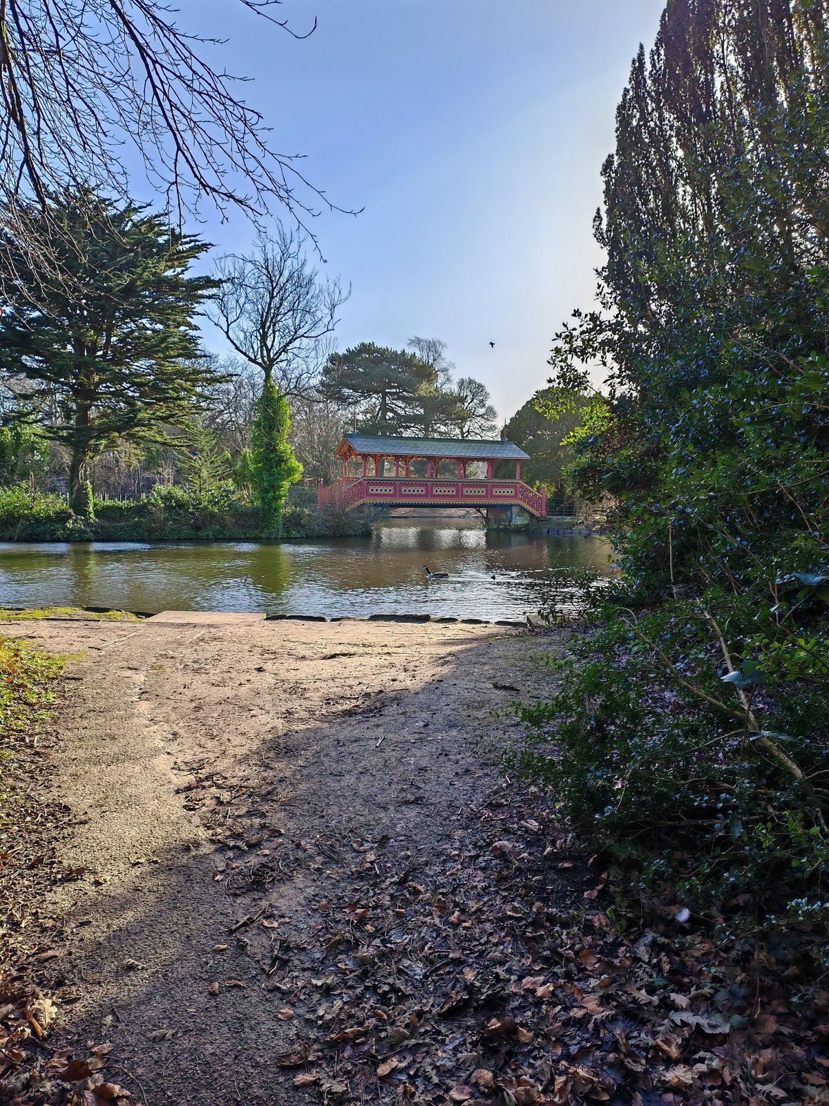 Honor Magic V2 sample photo showing wooden bridge over lake in wooded area at 1x zoom