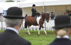 Judging of the Ladies side saddle Edenbridge & Oxted Show