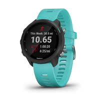 Save  50 on the Garmin Forerunner 245 Music  the best running watch for beginners - 49