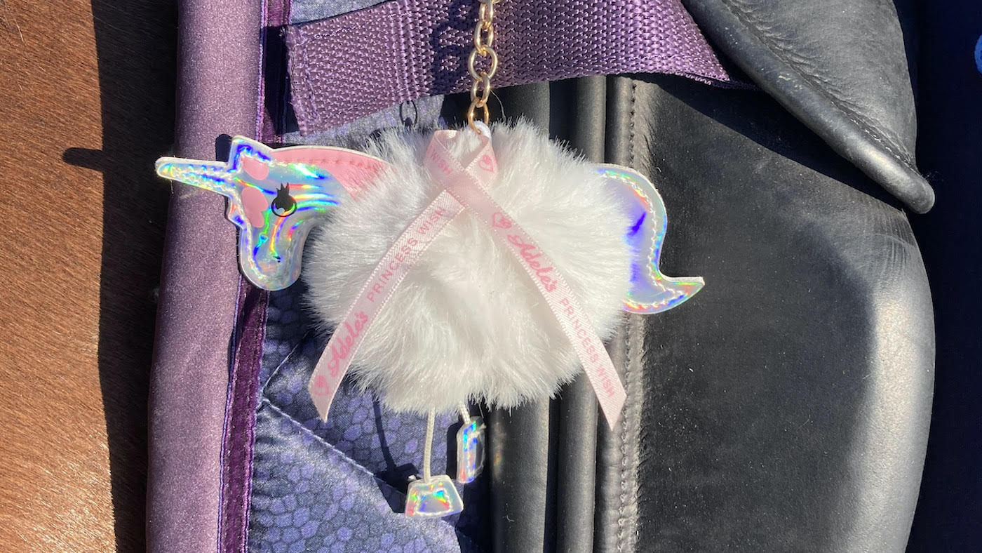Unicorn2.jpeg