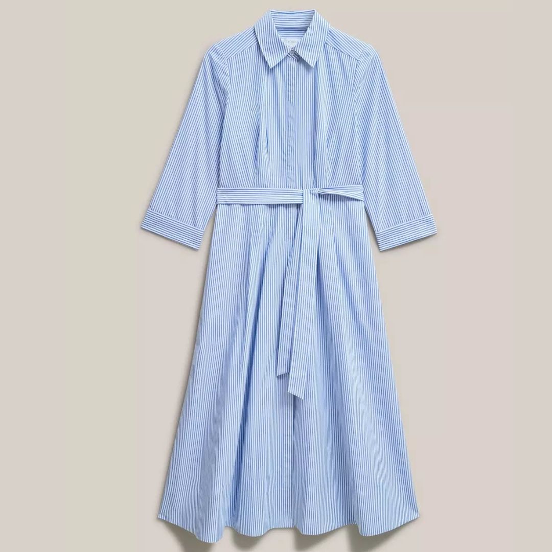 Hobbs Jane Blue Striped Shirt Dress