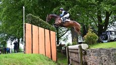 British Olympic eventing entries: MHS Seventeen and Ros Canter have joined the list