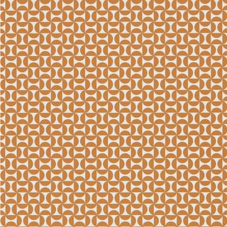 70s insired wallpaper with orange and white repeat pattern by wallpaper direct