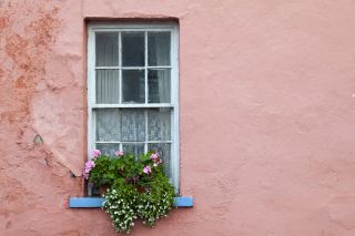 Colorful, painted house with pretty flower box on the window sill