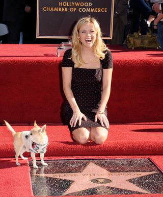 Reese Witherspoon and "Legally Blonde" co-star Bruiser pose at the Reese Witherspoon Hollywood Walk Of Fame Star Induction Ceremony on December 1, 2010 in Hollywood, California