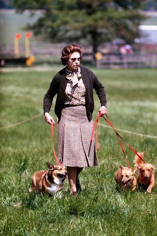 Queen Elizabeth II And Her Corgies