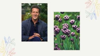  composite image of Monty Don and tulips to share advice on deadheading tulips