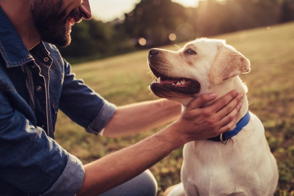 dog and man