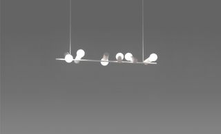 ‘Sparrow’ pendant lights