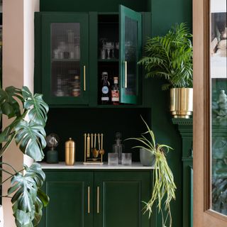 Kitchen with green cabinetry colour scheme and gold detailing with houseplants displayed