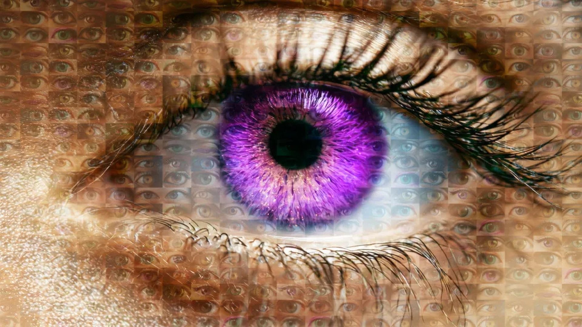 https://cdn.mos.cms.futurecdn.net/s7fSJhFDURzLrGaFpfv53N-1920-80.jpg