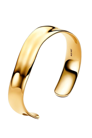 Organically Shaped Broad Open Bangle