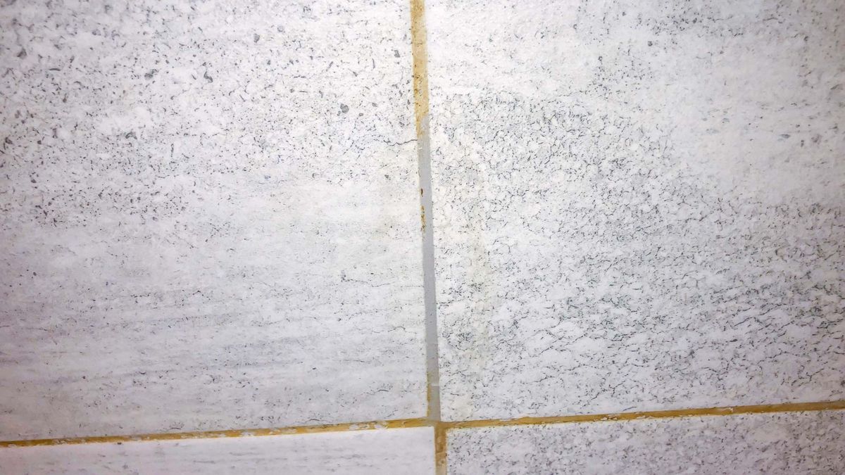 I just cleaned my grout with toothpaste and it’s a minty miracle Tom