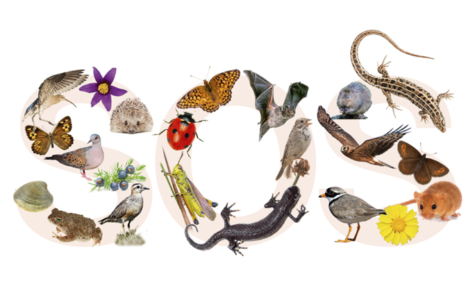 state of nature report