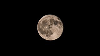 懸掛在黑色夜空上的滿月的細節磁盤的磁盤上覆蓋著一個黑暗的基底石平原,稱為大海。隕石孔仍然可以看作是月球表面的標記。