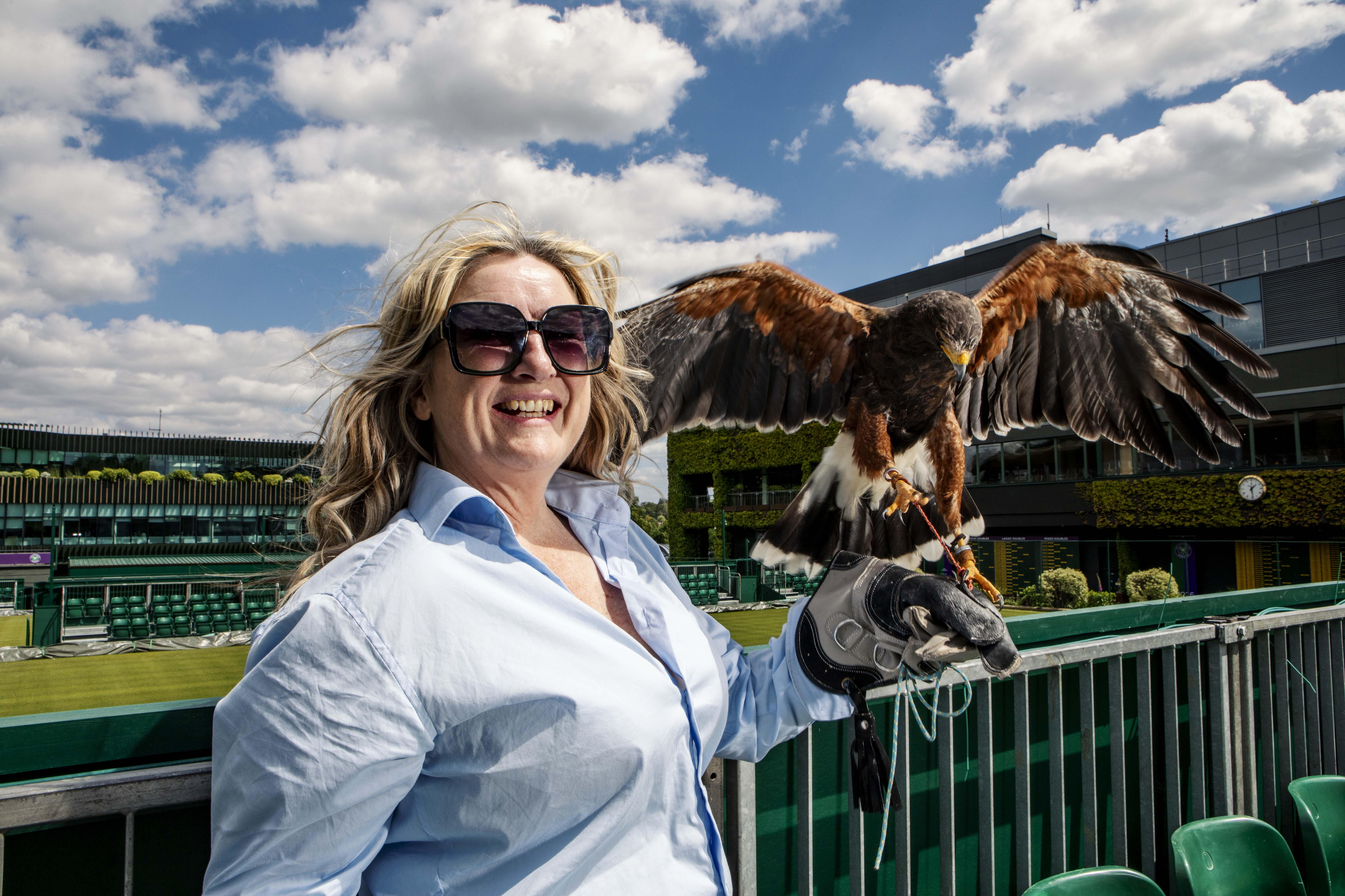 Donna Davis with Rufus the Hawk at one of the Wimbledon courts