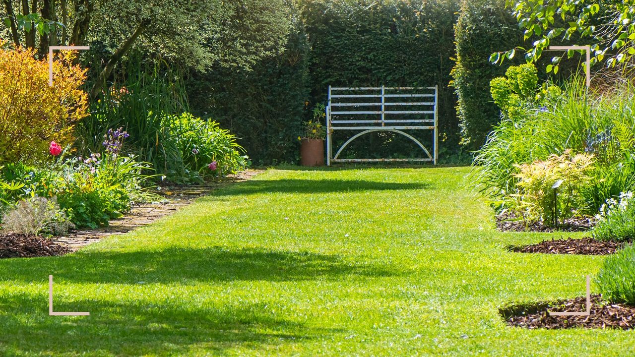 Backyard with lawn showing healthy grass that supports the question how long should you water your lawn in summer