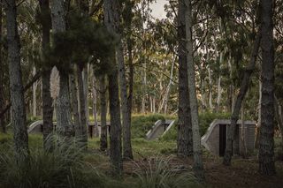 semi buried Argentinian retreat in the forest