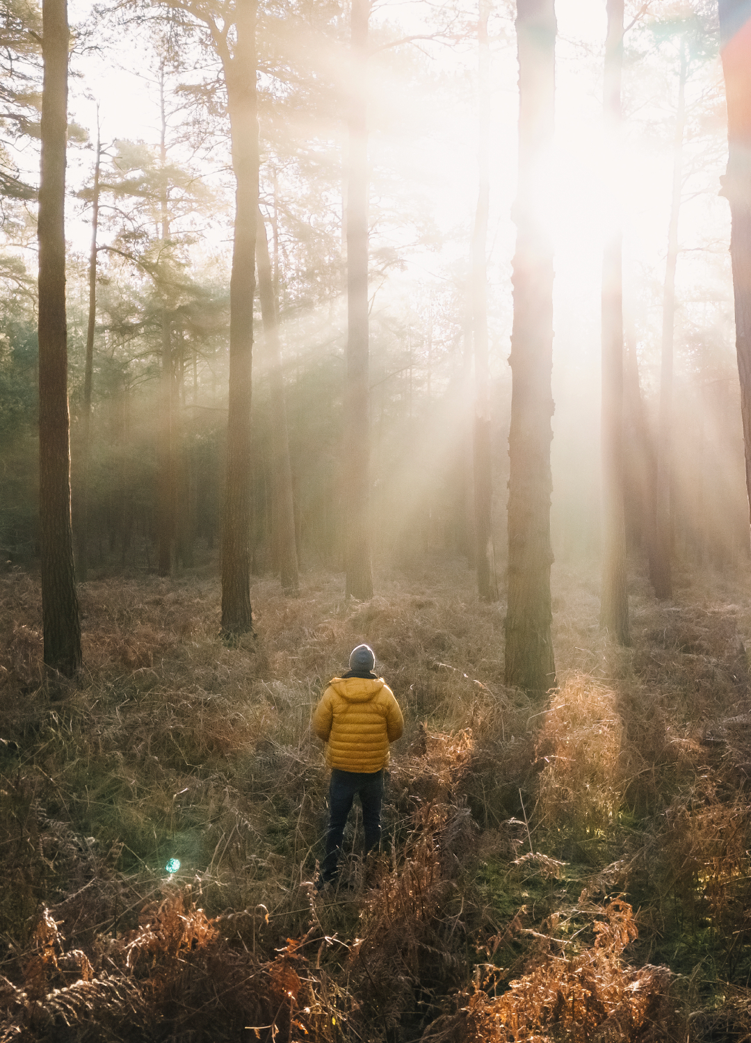 Woman in the forest
