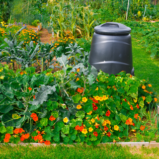 Compost bin behind flower bed or red and yellow flowers