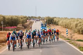 Vuelta a Andalucia Ruta Ciclista Del Sol 2023 - 69th Edition - 4th stage Olvera - Iznajar 164,8 km - 18/02/2023 - Echelons - Tim Wellens (BEL - UAE Team Emirates) - photo Luis Angel Gomez/SprintCyclingAgencyÂ©2023