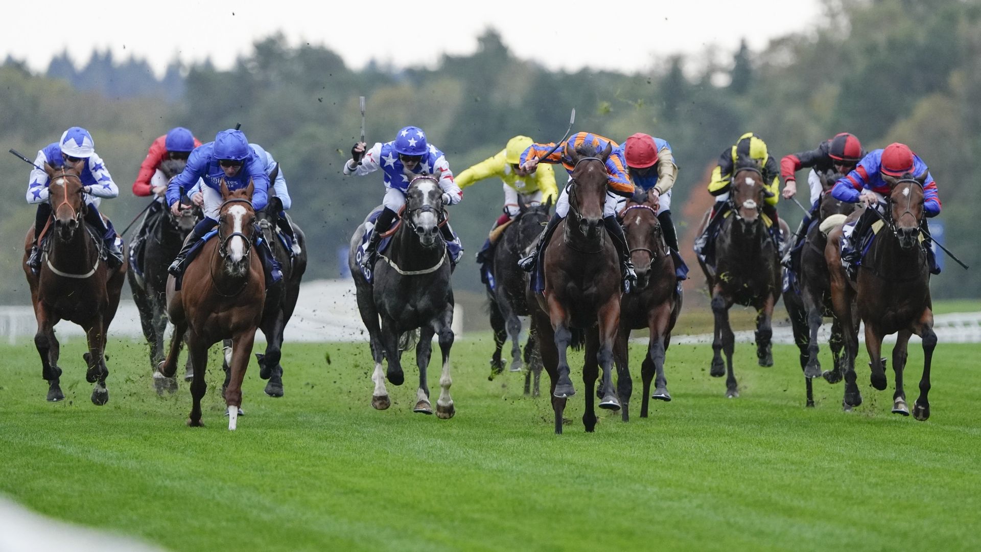 How to watch British Champions Day 2026: FREE Streams