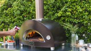 Alfa Nano pizza oven