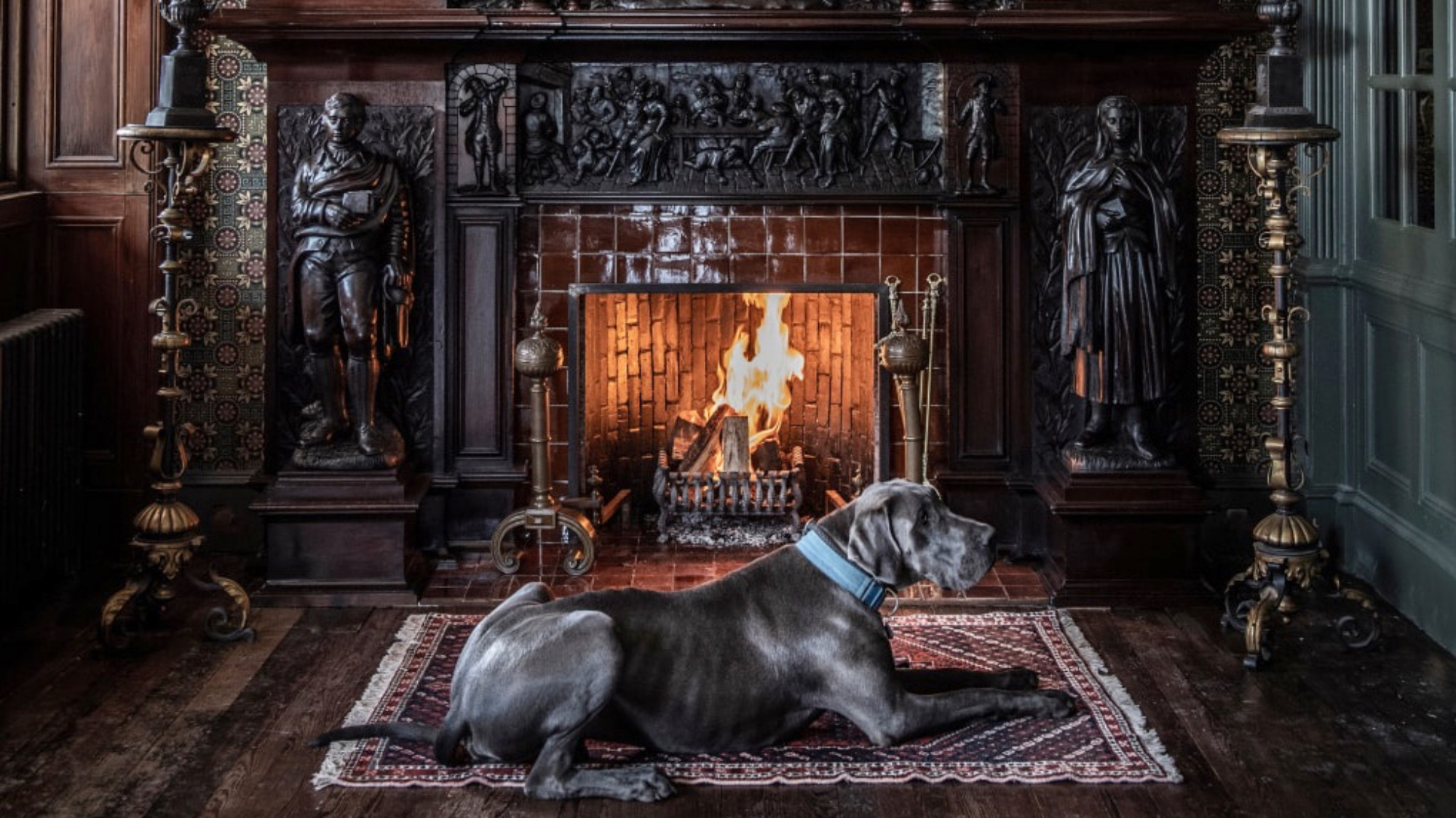 Dog lying in front of fire at Fife Arms hotel