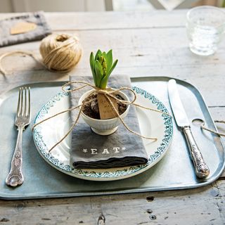 room with wooden table plant pot on dish with folk