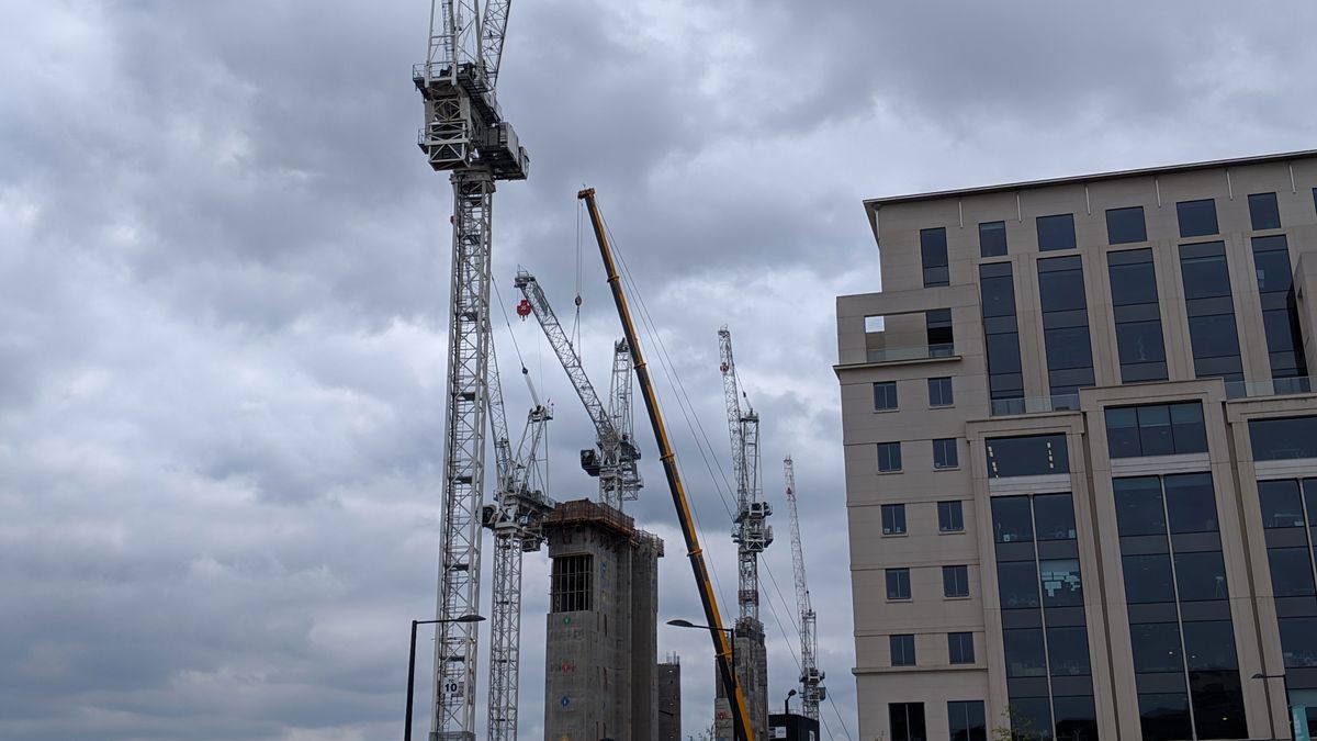 Cranes snapped in normal camera mode... Image credit: TechRadar