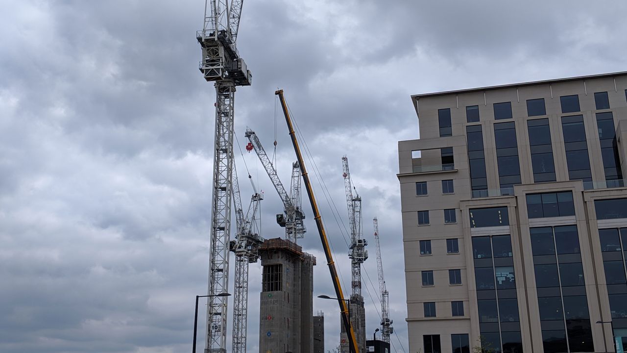 Cranes snapped in normal camera mode... Image credit: TechRadar