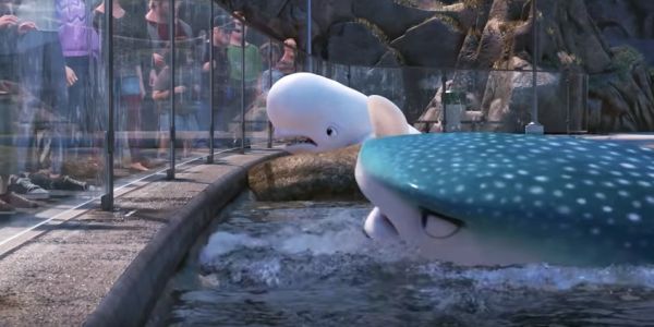 Finding Dory Beluga Whale