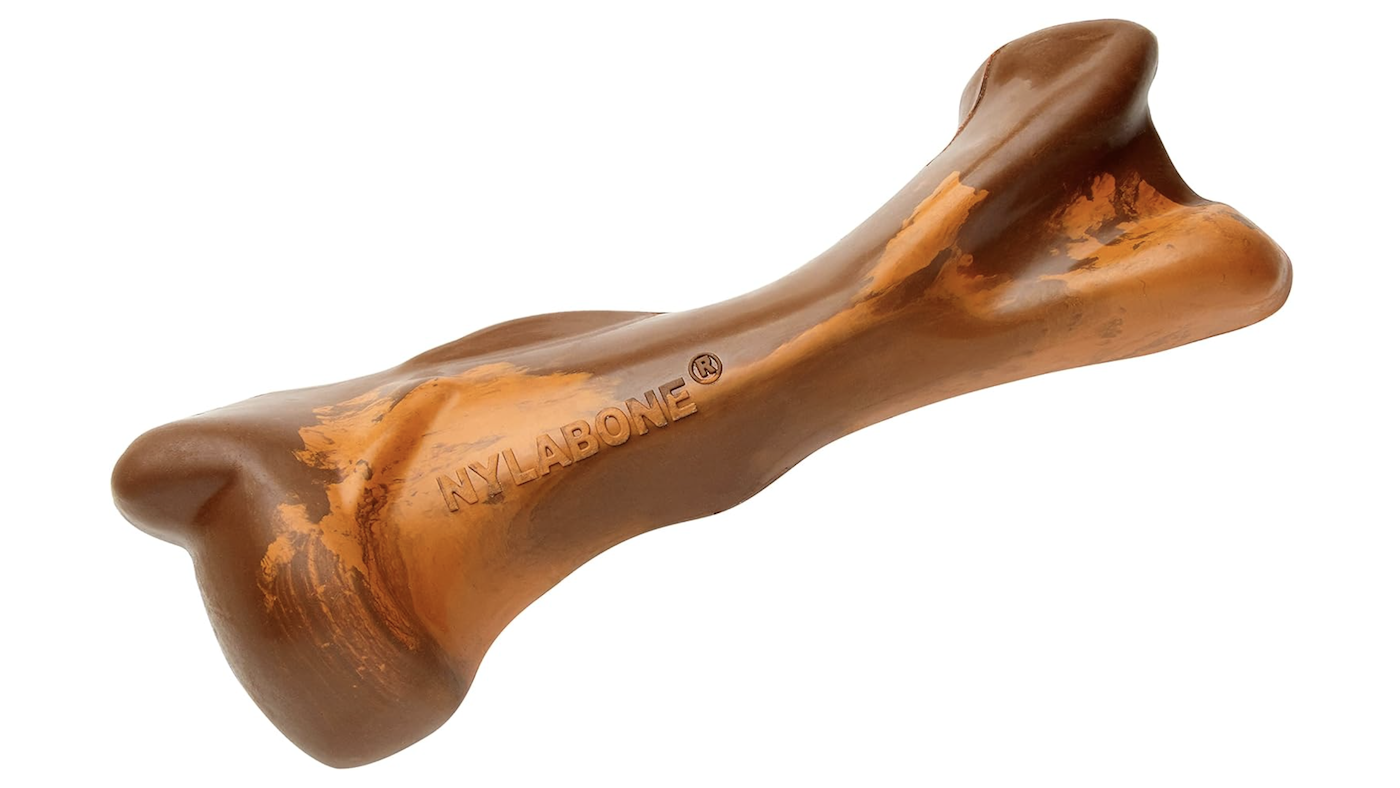 Nylabone toy is among the safe dog chews for aggressive chewers