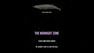Visualisation - The Deep Sea