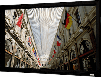 Da-Lite Develops Multi-Purpose 3D Screen