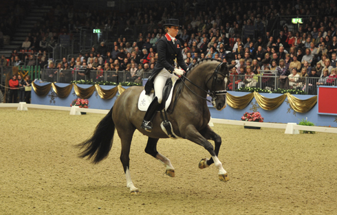 Olympia Wednesday 14 12 2011 FEI grand prix freestyle world cup