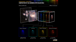 individual images show where atomic hydrogen, iron ions and molecular hydrogen are located in the cloud around a supermassive black hole.