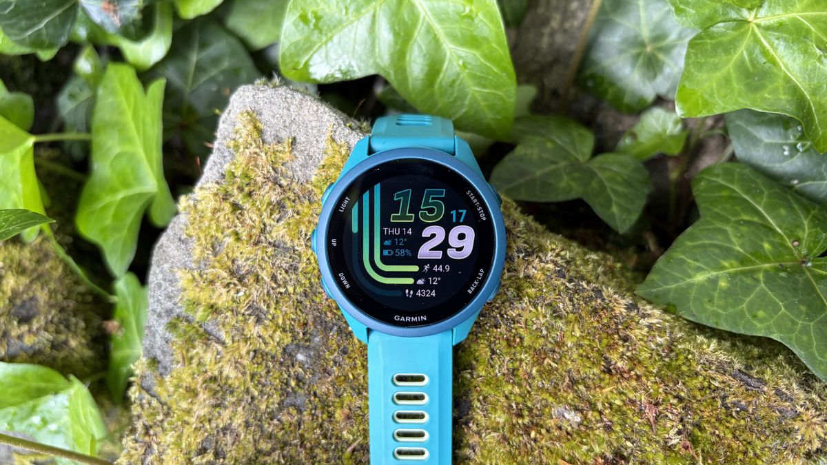 Garmin Forerunner 170 placed on a rock outside