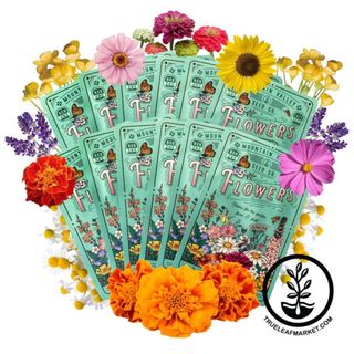 True Leaf Market flower seeds