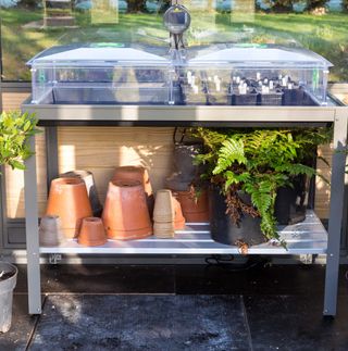 seed pots in propagators in a greenhouse